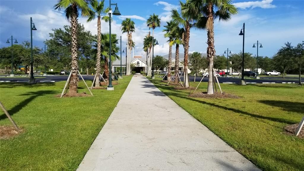 For Sale: $18,900 (0.26 acres)