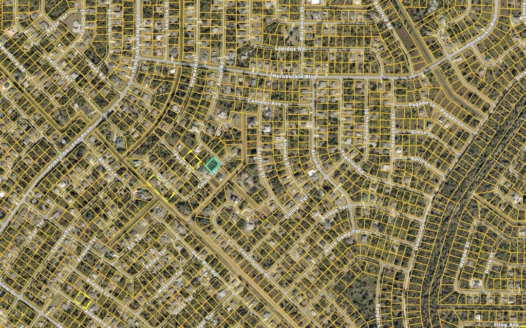For Sale: $18,900 (0.26 acres)