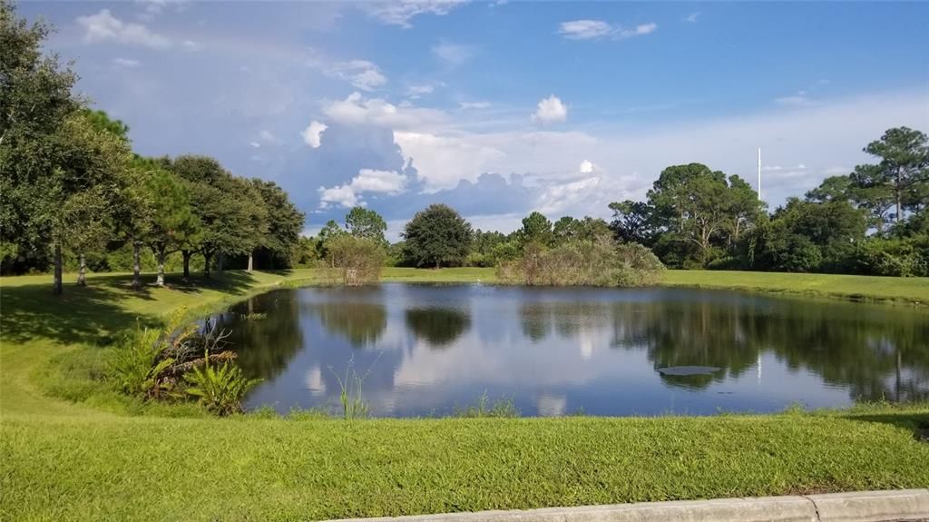 For Sale: $18,900 (0.26 acres)