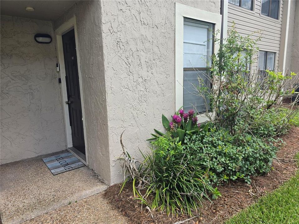 For Sale: $146,000 (1 beds, 1 baths, 749 Square Feet)