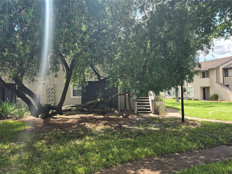 For Sale: $146,000 (1 beds, 1 baths, 749 Square Feet)