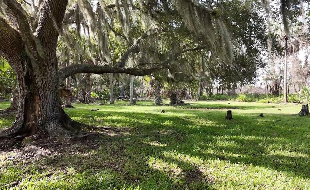 For Sale: $24,000,000 (1,200.00 acres)