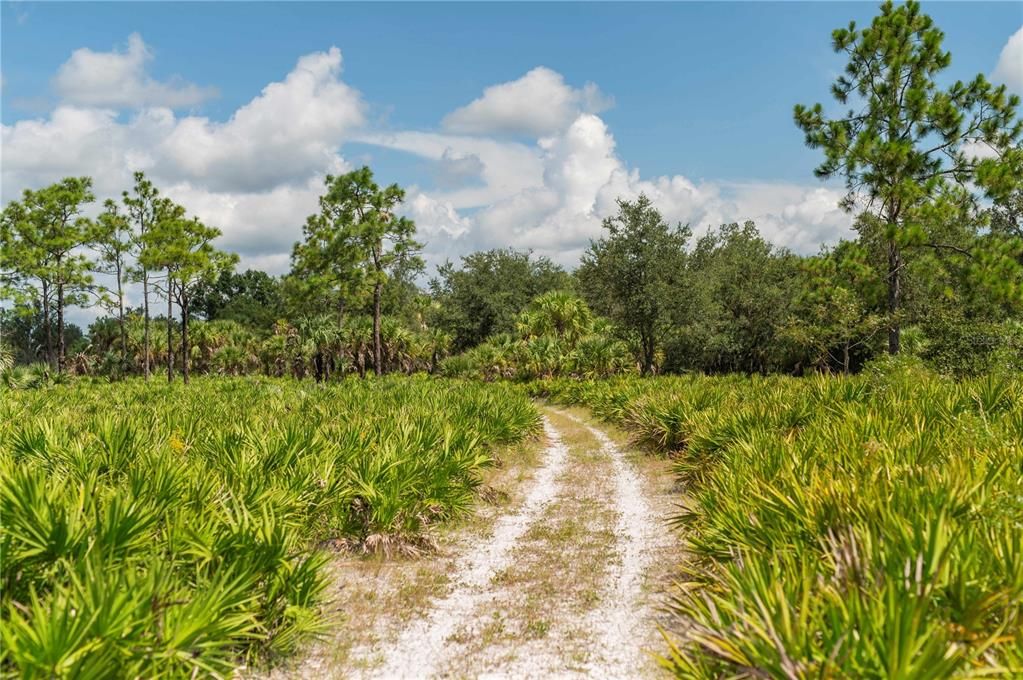 For Sale: $24,000,000 (1,200.00 acres)