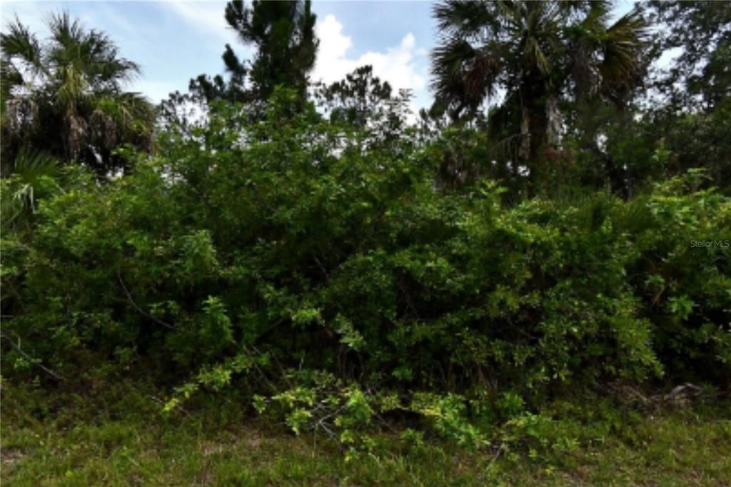 На продажу: $18,000 (0.23 acres)