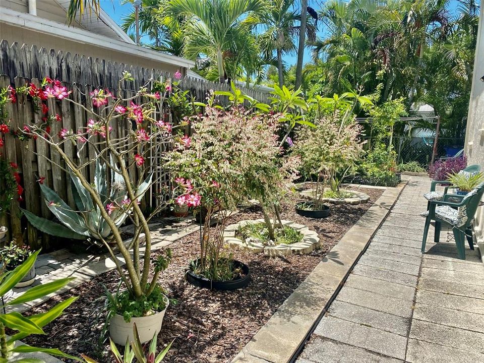 For Rent: $2,100 (2 beds, 1 baths, 842 Square Feet)
