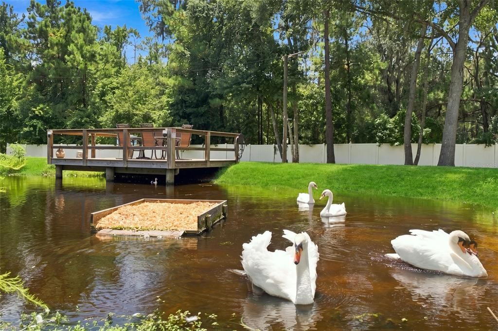 На продажу: $1,350,000 (4 спален, 3 ванн, 5104 Квадратных фут)