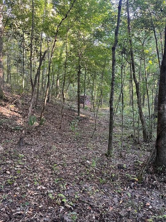 En Venta: $252,000 (36.00 acres)
