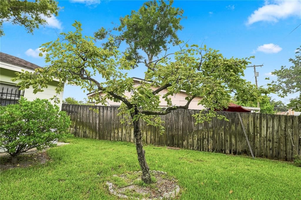 For Sale: $350,000 (3 beds, 2 baths, 1334 Square Feet)
