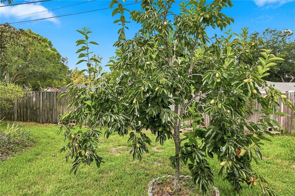 For Sale: $350,000 (3 beds, 2 baths, 1334 Square Feet)