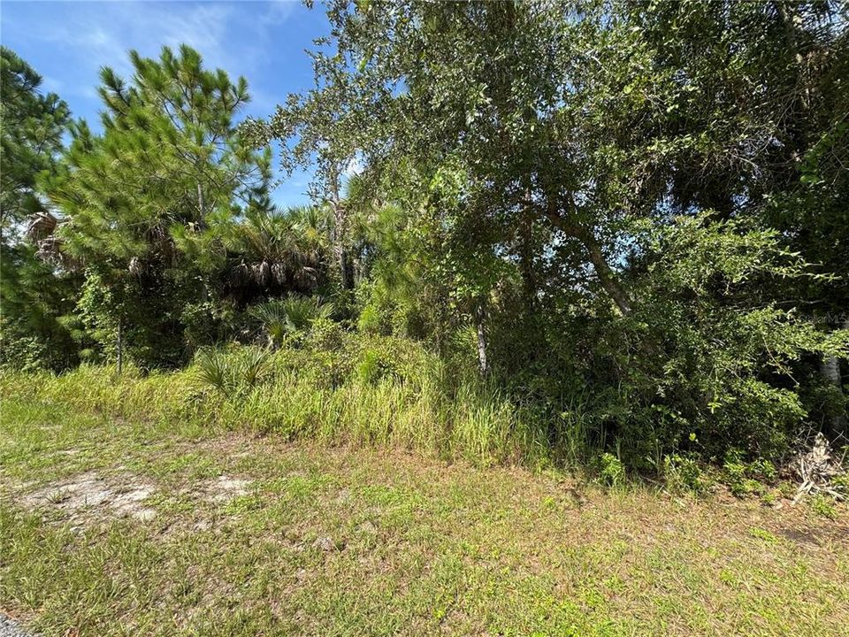 На продажу: $18,000 (0.23 acres)