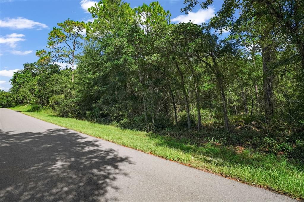 For Sale: $35,000 (1.20 acres)