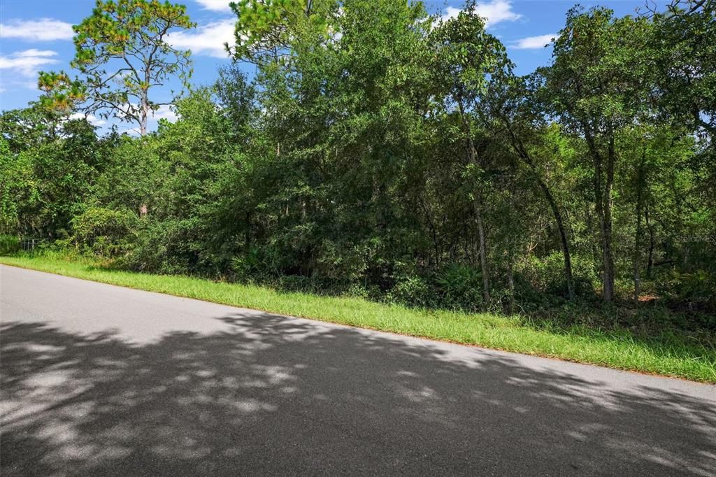 For Sale: $35,000 (1.20 acres)