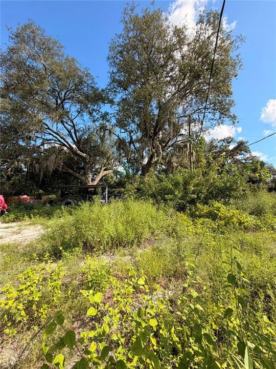 For Sale: $549,900 (1.00 acres)
