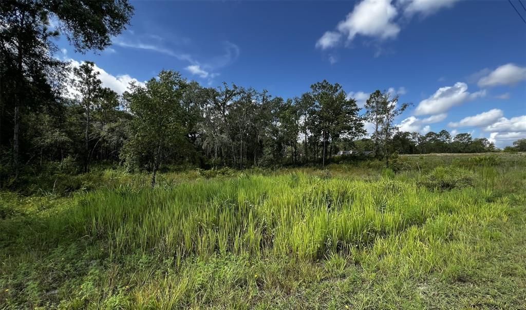 На продажу: $68,000 (0.98 acres)