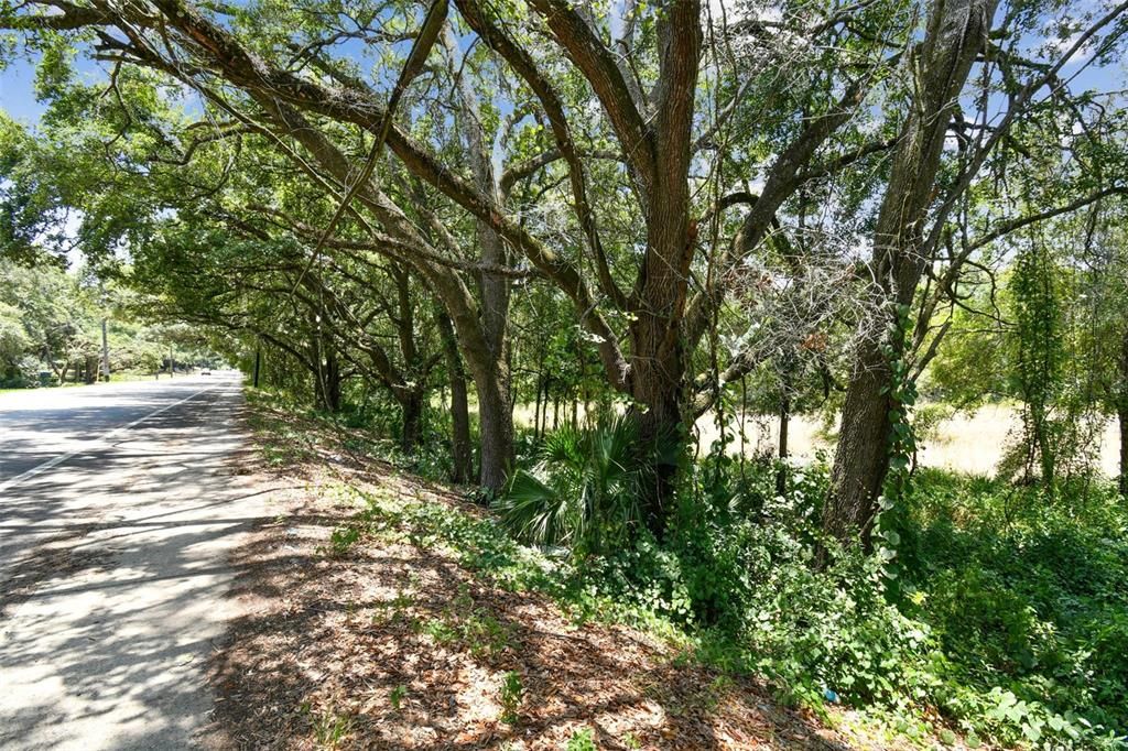 На продажу: $499,000 (3.63 acres)