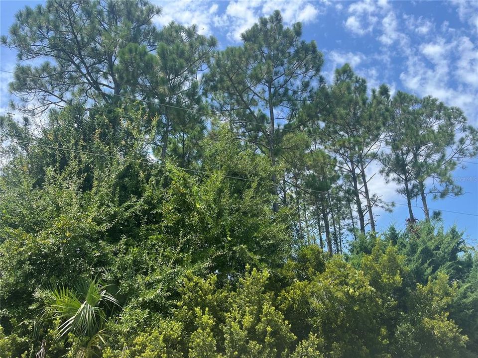 待售: $70,000 (0.29 acres)