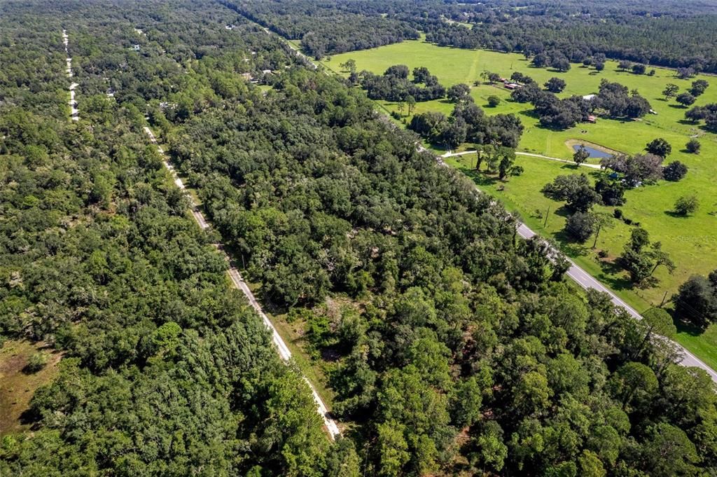 For Sale: $60,000 (1.45 acres)
