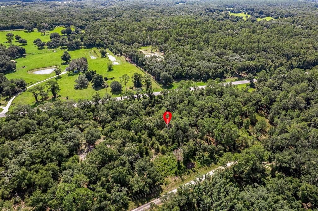 For Sale: $60,000 (1.45 acres)