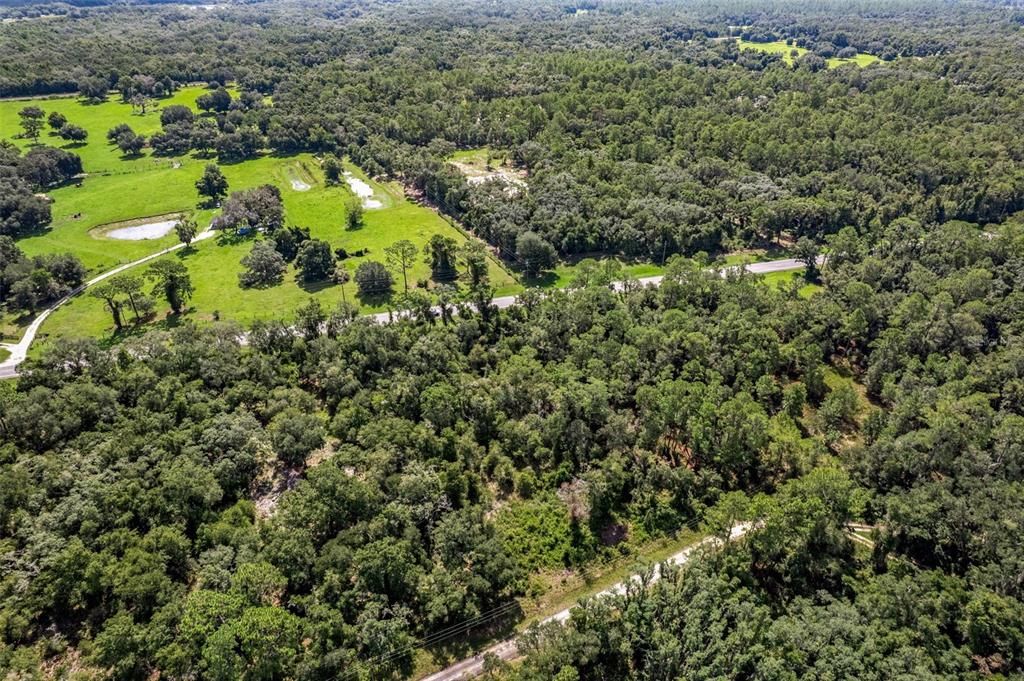 For Sale: $60,000 (1.45 acres)