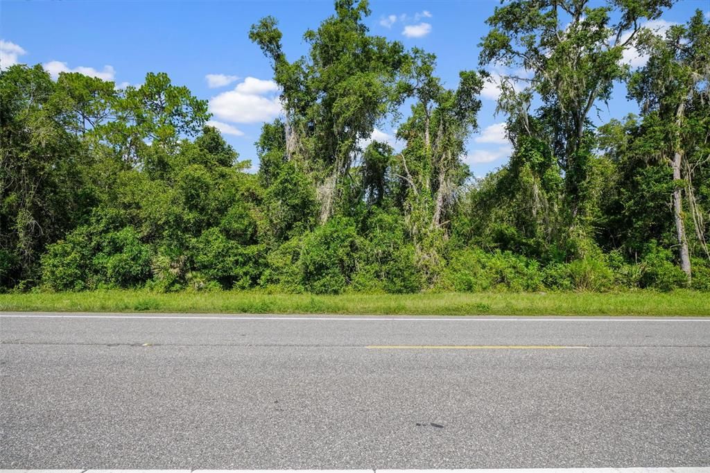 For Sale: $60,000 (1.45 acres)