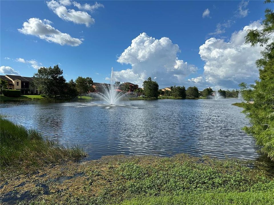 For Sale: $350,000 (2 beds, 2 baths, 1145 Square Feet)