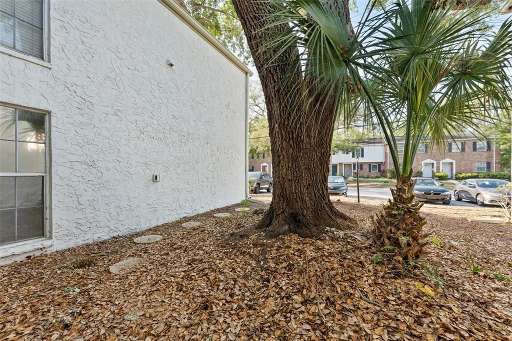 For Rent: $1,500 (1 beds, 1 baths, 560 Square Feet)