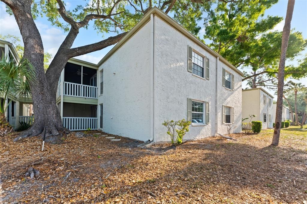 For Rent: $1,500 (1 beds, 1 baths, 560 Square Feet)