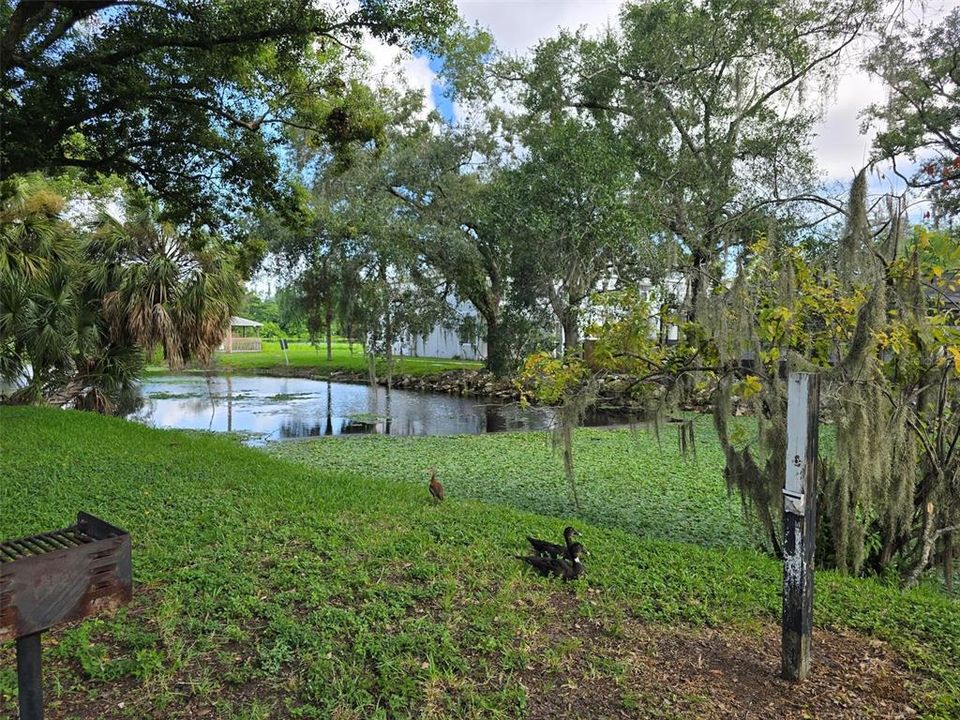 For Rent: $1,100 (1 beds, 1 baths, 504 Square Feet)