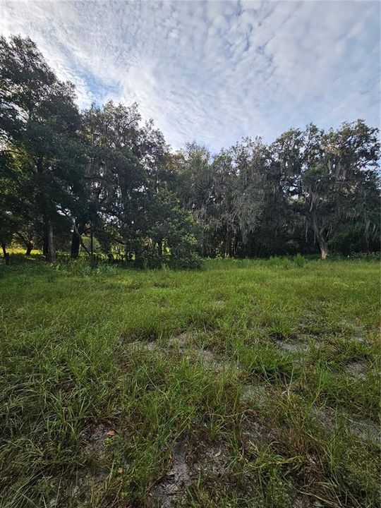 For Sale: $125,000 (1.07 acres)