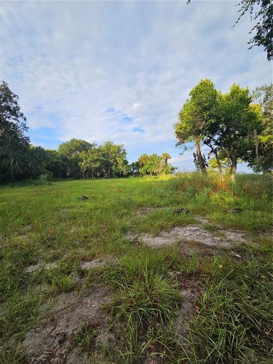 For Sale: $125,000 (1.07 acres)