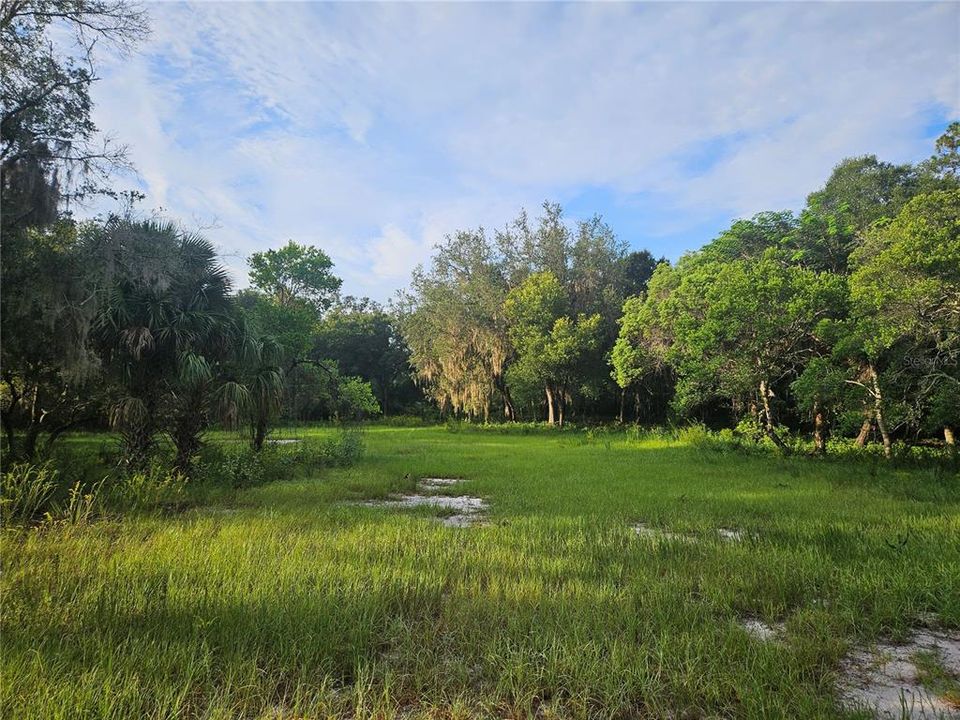 For Sale: $750,000 (8.69 acres)