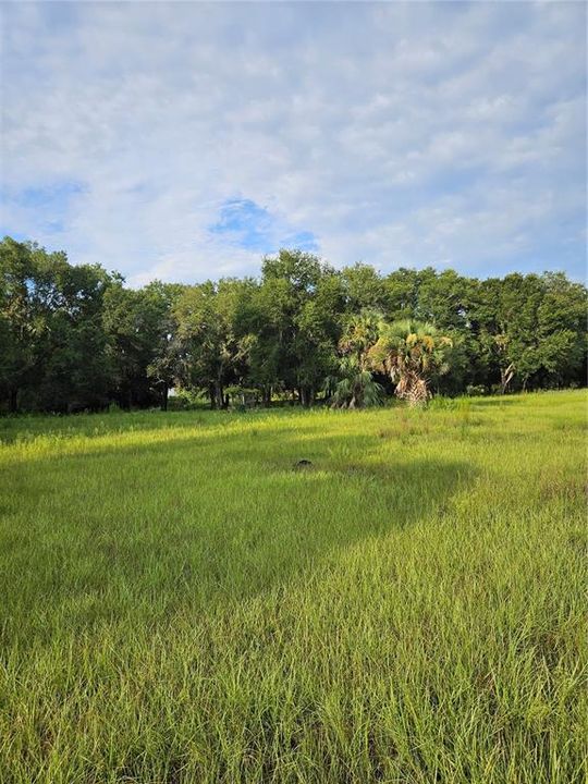 For Sale: $750,000 (8.69 acres)