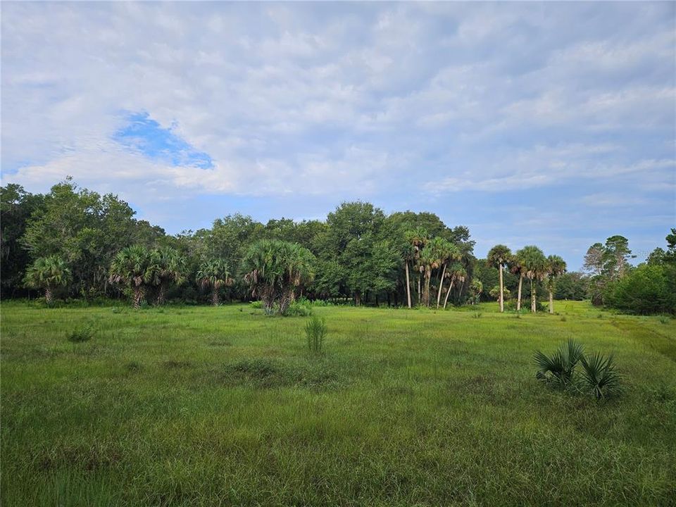 For Sale: $750,000 (8.69 acres)
