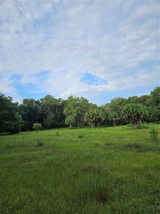 For Sale: $750,000 (8.69 acres)