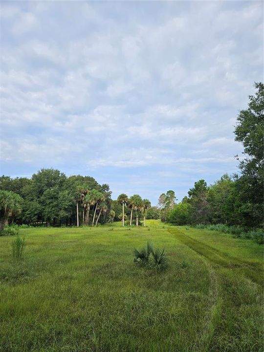 For Sale: $750,000 (8.69 acres)