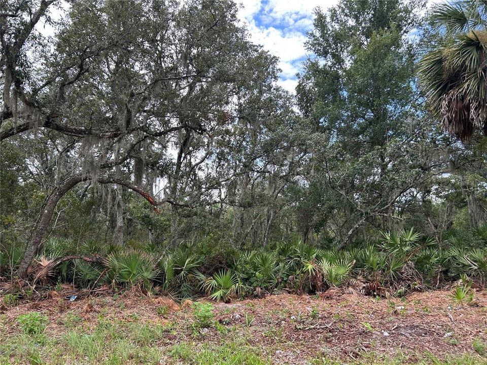 For Sale: $400,000 (2.58 acres)