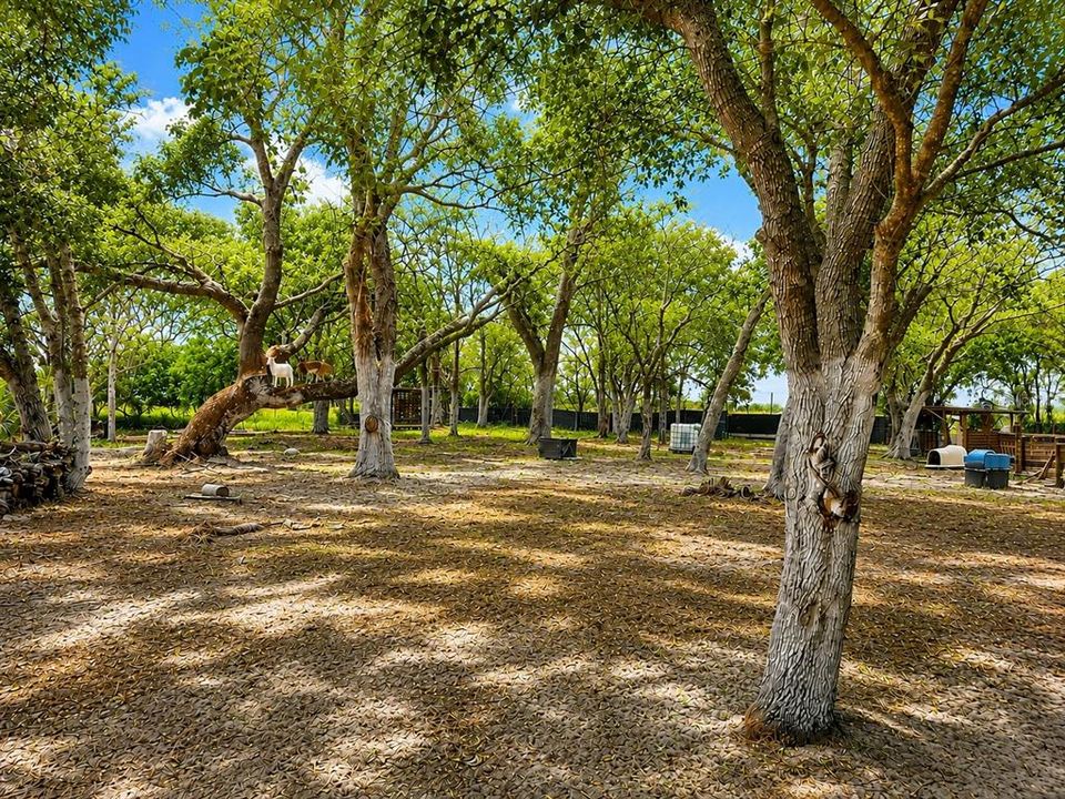 待售: $215,000 (6.29 acres)