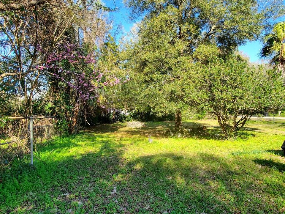 В аренду: $1,450 (3 спален, 1 ванн, 1250 Квадратных фут)