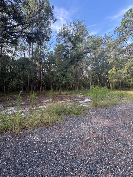 For Sale: $320,000 (5.20 acres)