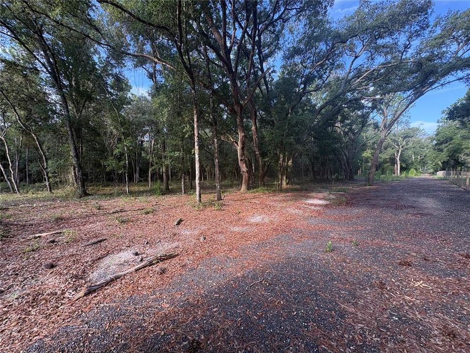 For Sale: $320,000 (5.20 acres)