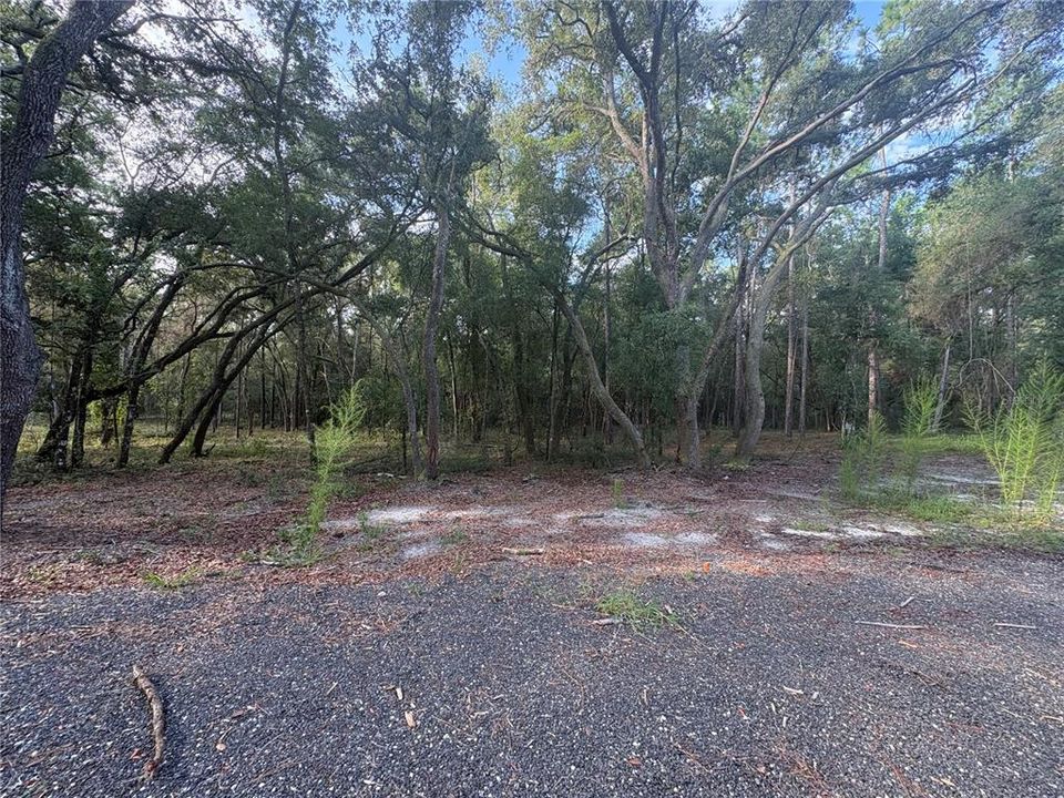 For Sale: $320,000 (5.20 acres)