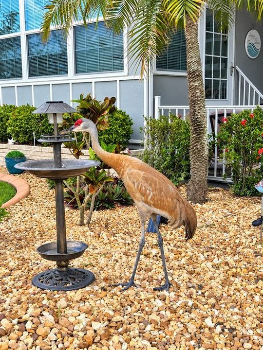 Activo con contrato: $189,000 (2 camas, 2 baños, 984 Pies cuadrados)