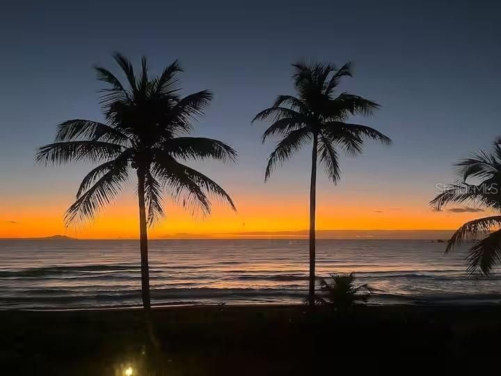 En Venta: $420,000 (1 camas, 1 baños, 806 Pies cuadrados)