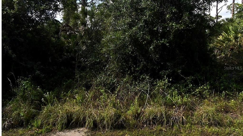 For Sale: $25,000 (0.23 acres)