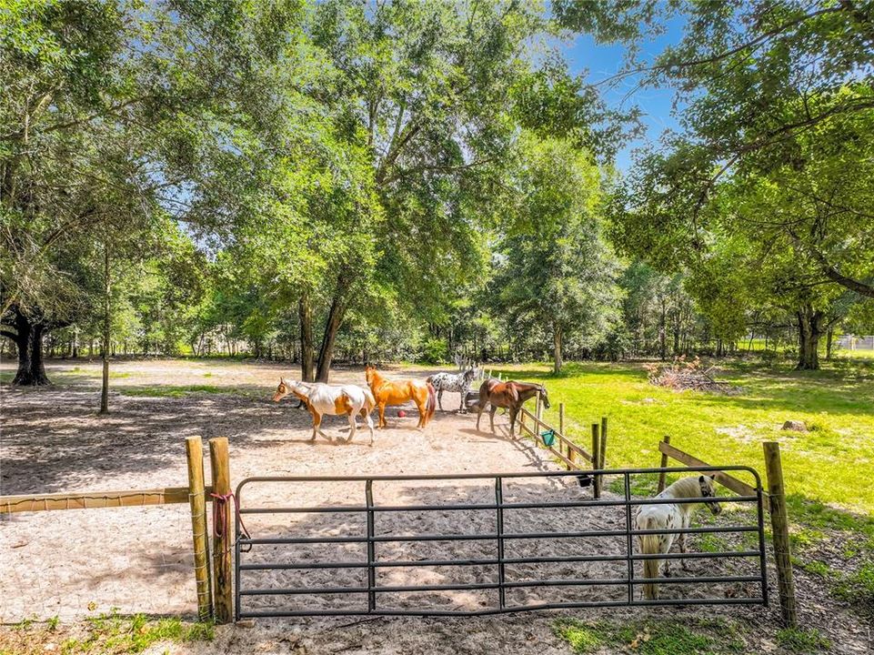 For Sale: $779,500 (3 beds, 2 baths, 1931 Square Feet)