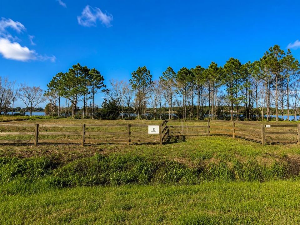 На продажу: $120,000 (5.06 acres)