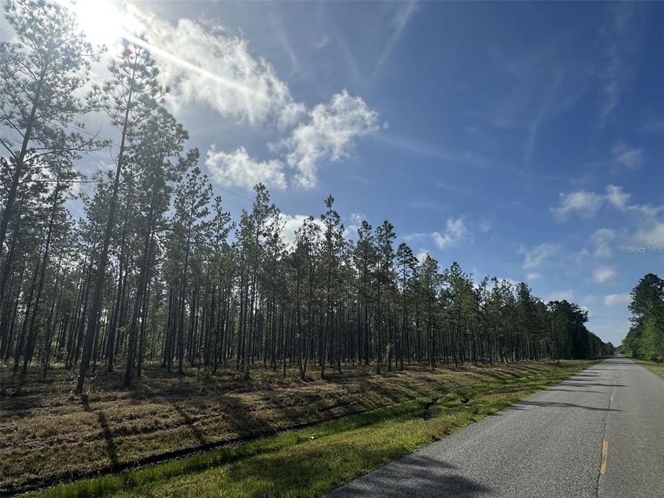 For Sale: $349,900 (125.00 acres)