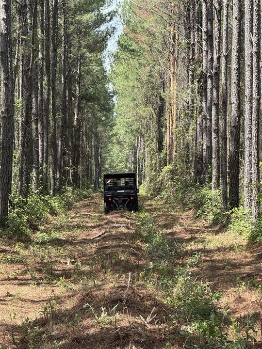 For Sale: $349,900 (125.00 acres)