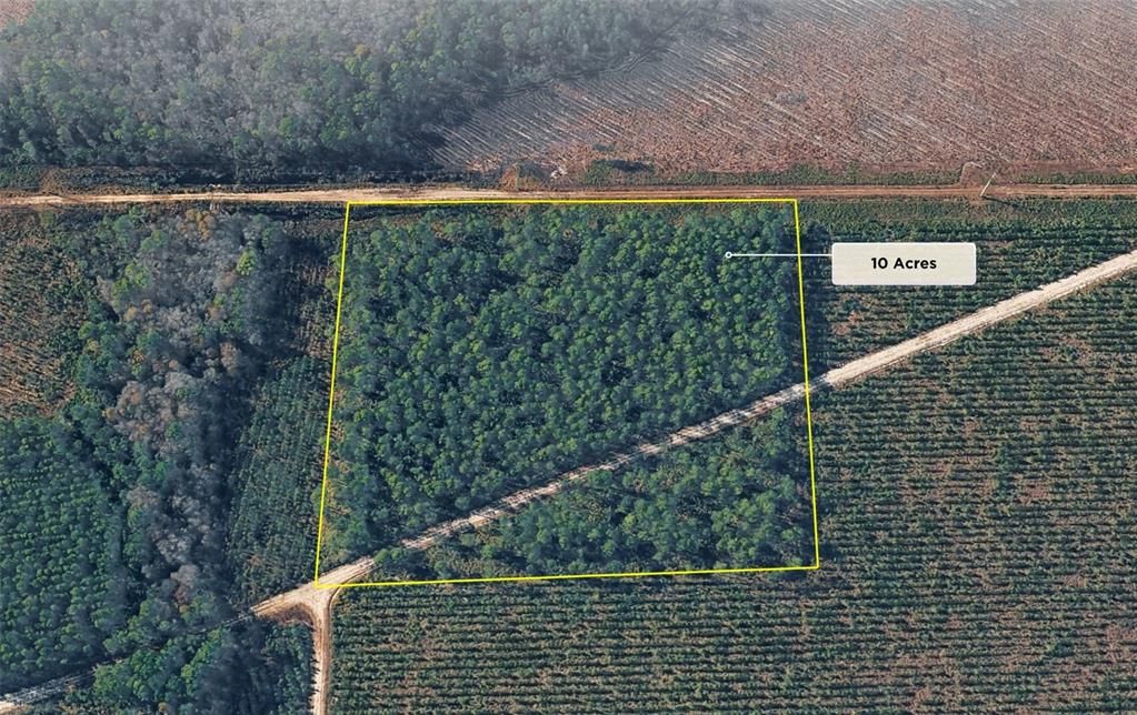 For Sale: $175,000 (10.00 acres)