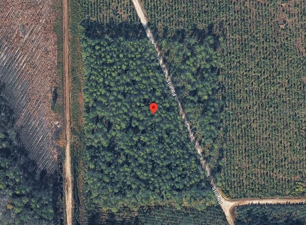 For Sale: $175,000 (10.00 acres)
